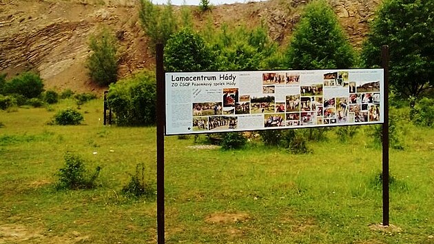 Na začátku se vám otevře ojedinělý pohled na vápencový lom, ve kterém se chovají lamy.