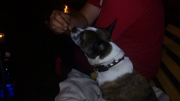 Posledn dovolenkovej butk