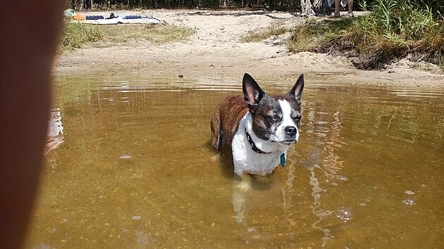 Maximln dobrovolnej ponor.. A dl u ani boha!