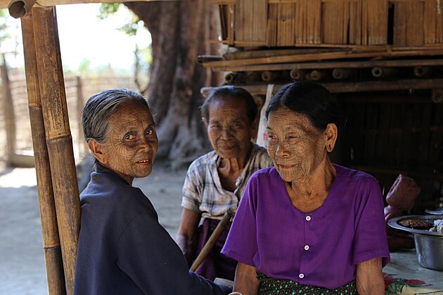 Pavou eny Myanmar, Chin