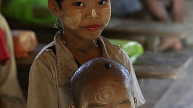 Pavou eny Myanmar, Chin