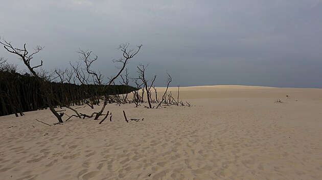 Slowinsk� n�rodn� park - Lebsk� p�se�n� duny