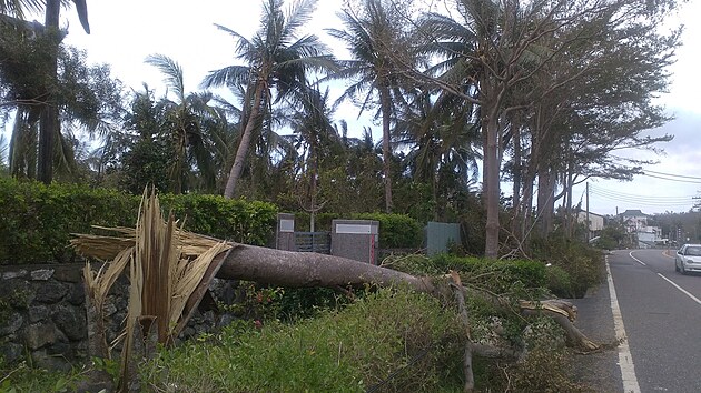 Po taifunu