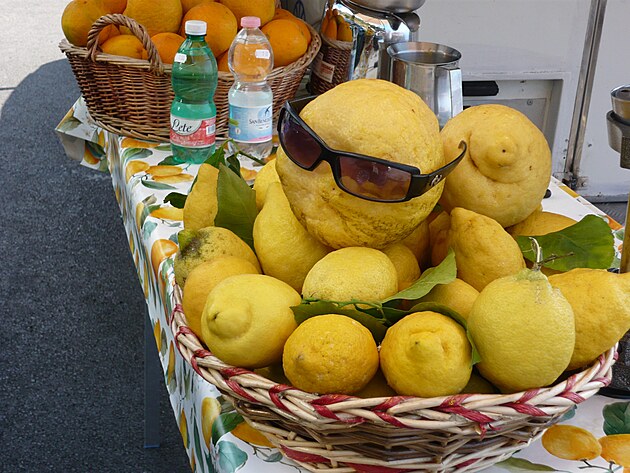 ...zejmna obch citrn, ze kterch se vyrb slavn likr Limoncello.