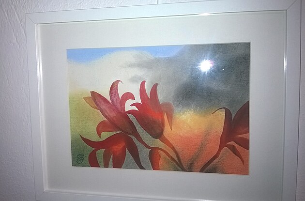 Jedna ze serigrafi� od Blanky Bohdanov�