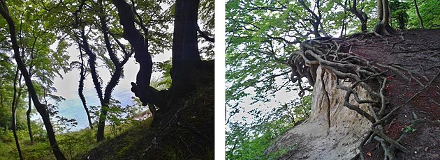 Kaspar Fridrich David ve sv�ch obrazech nekecal.