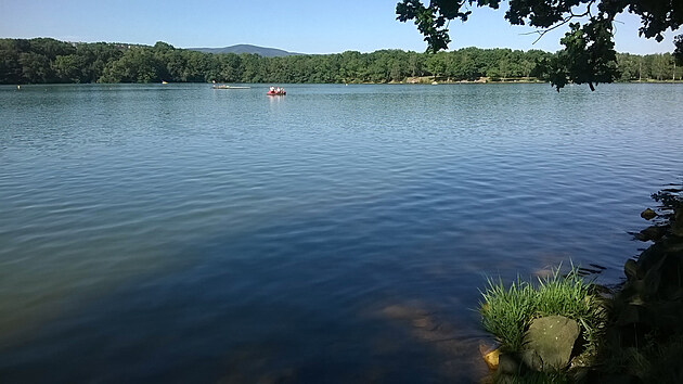 Jezero na ku, za psmem strom je zoopark