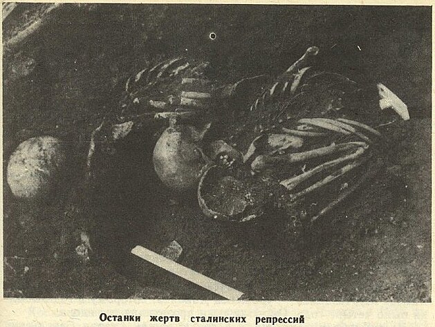 Vykop�vky kostern�ch poz�statk� ob�t� deportac�