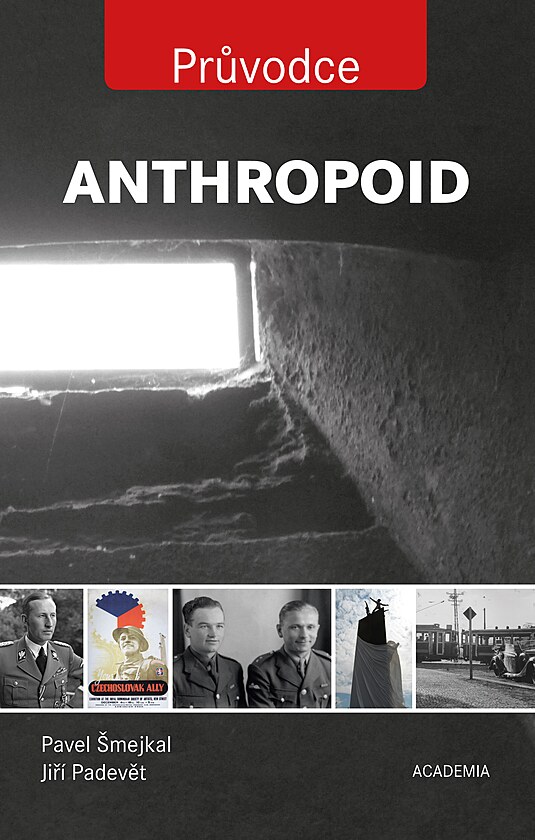 Kniha zve zjemce po mstech spojench s aktivitou vsadku Anthropoid, jeho pslunci uskutenili tok na zastupujcho skho protektora Reinharda Heydricha.