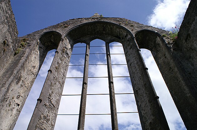 Ennis Friary