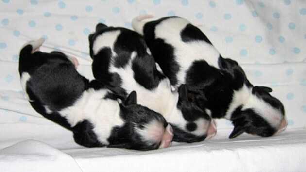 Už jsme tady! 2 ségry s bráchou. Já jsem úplně vpravo!