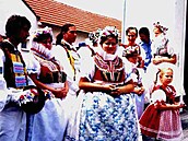 N�sedlovsk� hody