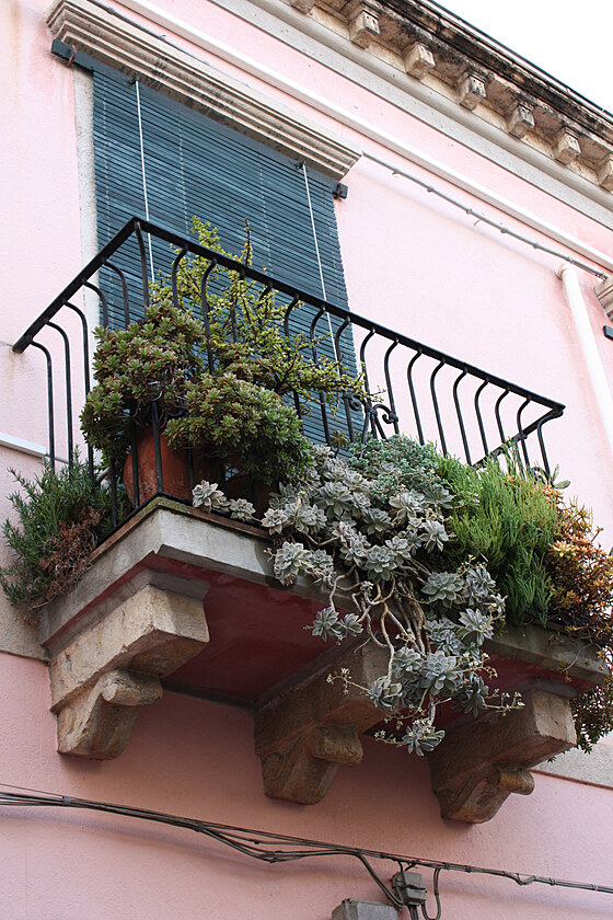 Balkon s botanickou zahrdkou.