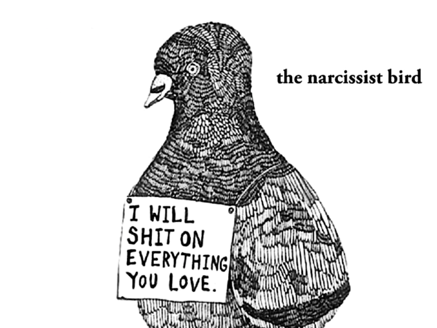 The Narcissist Bird