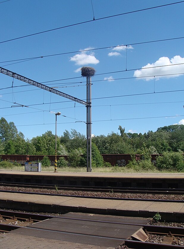 Dokonce na ndra v Jistebnku, co je na trati, kde jezd Pendolino rychlost 160 km/hod, hnzd pi.