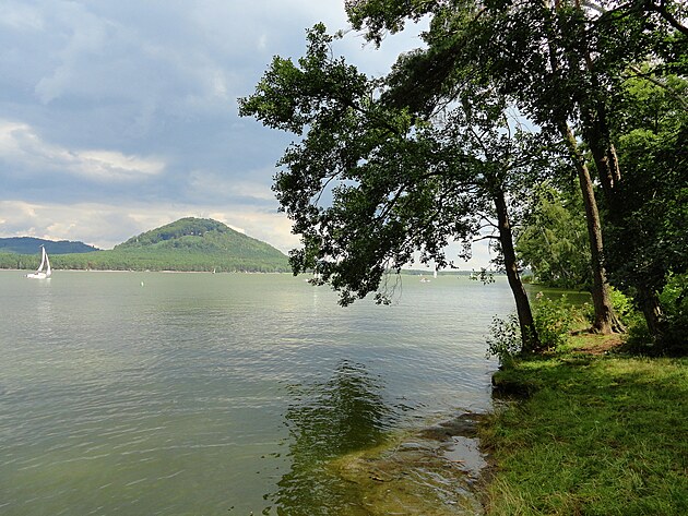 Mchovo jezero