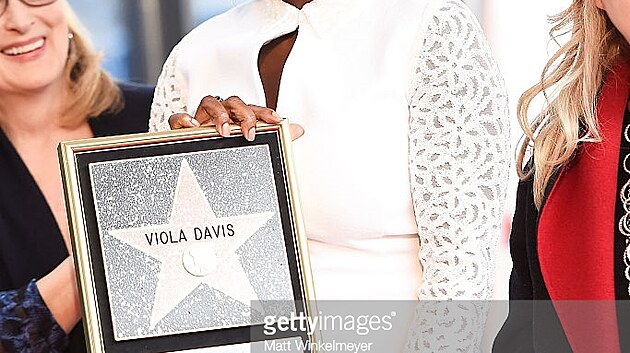 Hereka Viola Davis 