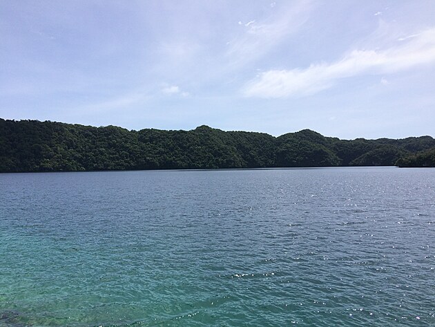 Molo