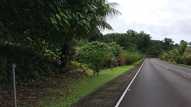 Silnice na Palau