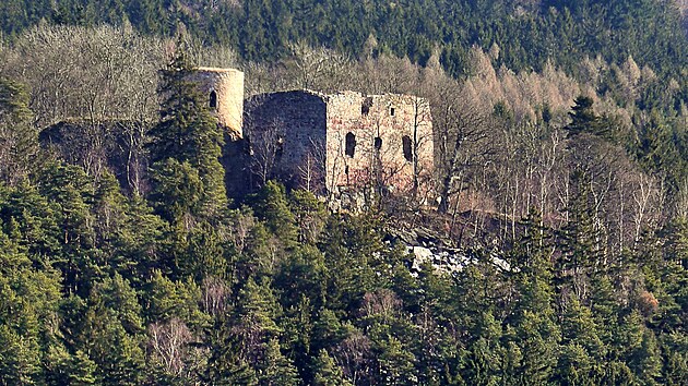 Valdek od lesa u Mal� V�sky