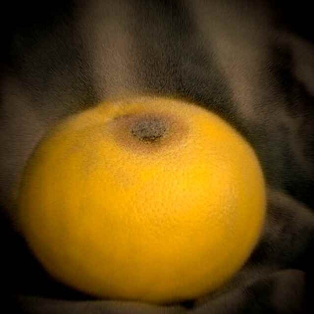 Grpfruit obecn, napaden,ne a tak chutn.