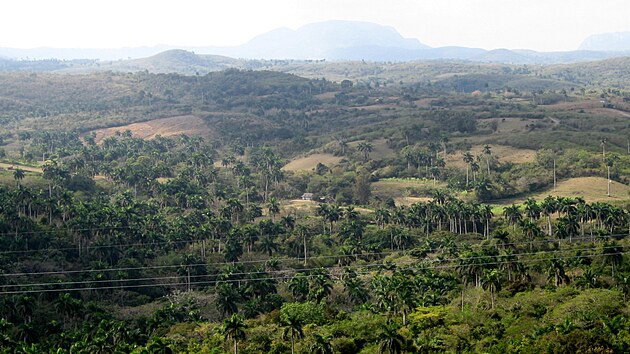 U mostu vyhlídka, na vyhlídce muzikanti, stánek s piňacoládou a nádherná panoramata, řekla by Homolková.