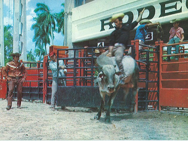 rodeo v Parku pionr