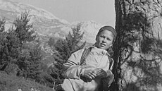 Pirin 1986