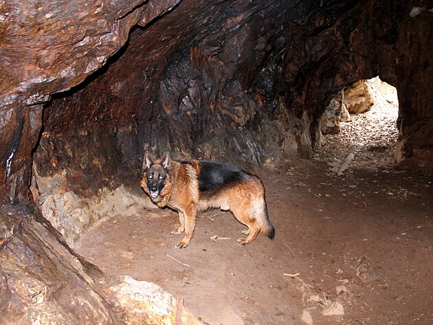 D�ky fotoblesku to vypad�, jako by uvnit� kaverny bylo sv�tlo, ale j� v t� chv�li nevid�l v�bec nic, prohl�dl jsem si, co jsem vyfotil, a� na monitoru.