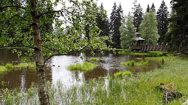 Kladsk�