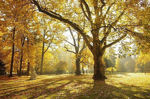 Tebovick park na podzim
