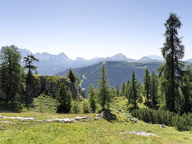 dk lesn porost na okraji pastviny u Rif.Gardenacia, 2.050 m n.m.