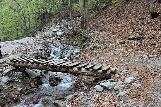 Cesta k vodop�du.