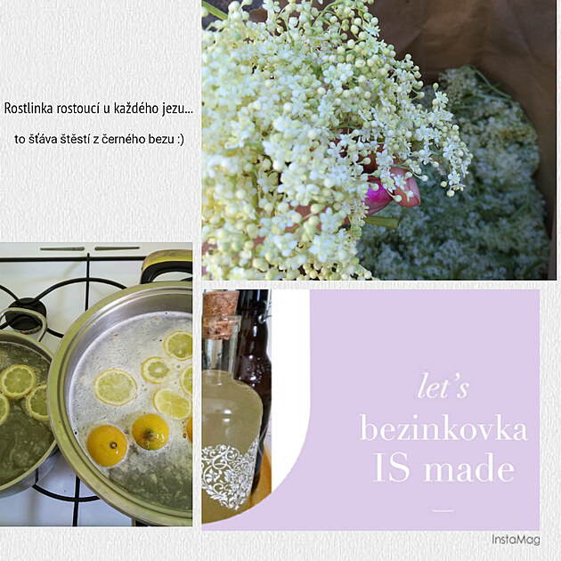 Bezinkovka made by Marketa