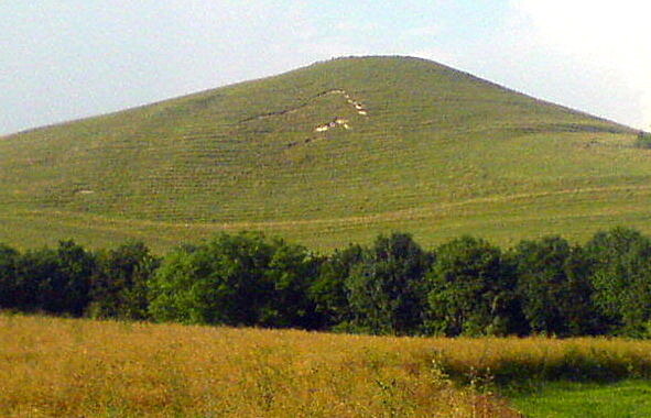 Picked Hill