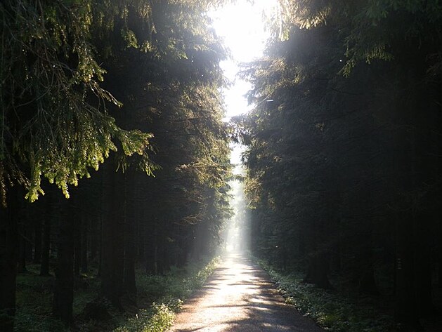 Za��tek cesty r�jem na sedle Sk��tek.