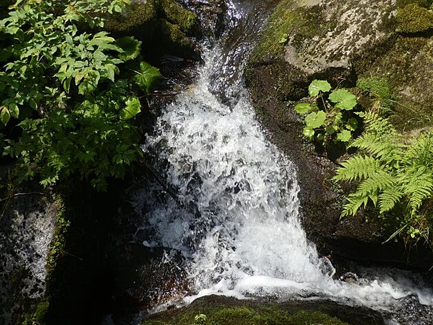 B�l� Opava.