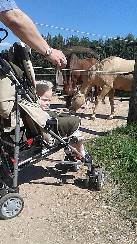 Za odmnu jsme zase vyrazili na m oblben rajtovn