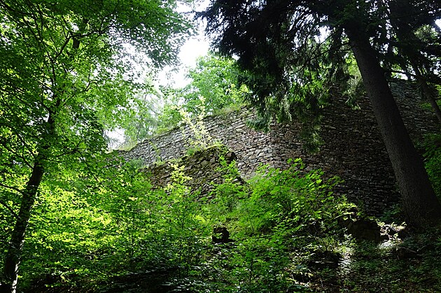 Zbytky hradu obklopuje zele lesa