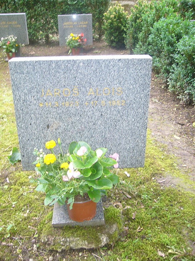 Symbolick hrob poslance za SNS Aloise Jaroe.