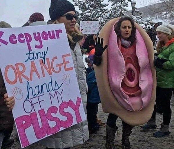Demonstrantka ve "vagina style" na protestn� akci proti Donaldu Trumpovi v USA.