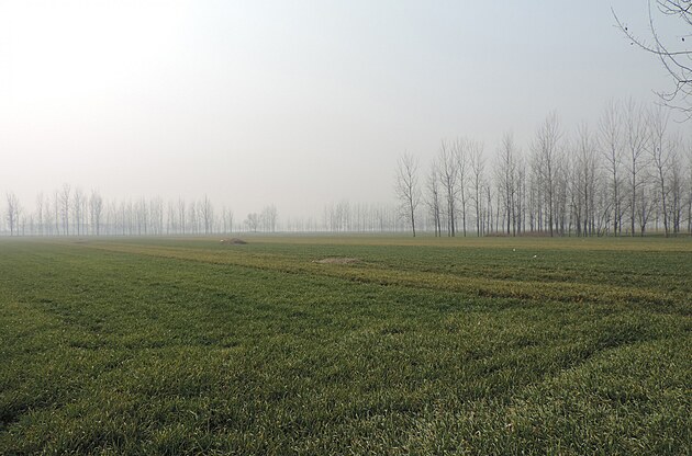 Krajina v Jiangsu.