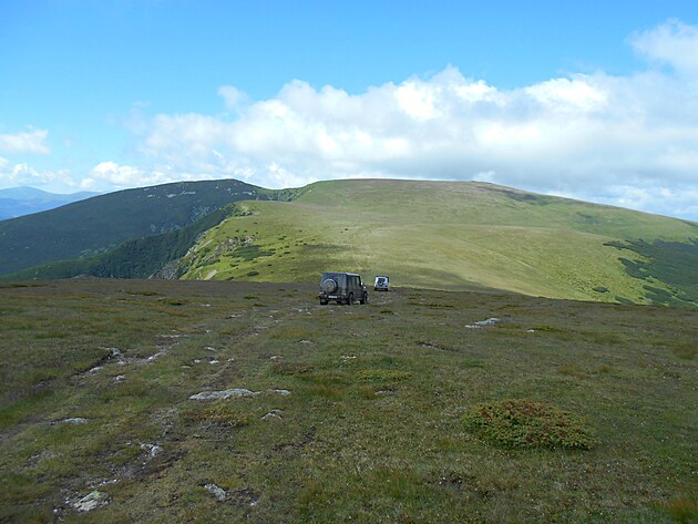 auta