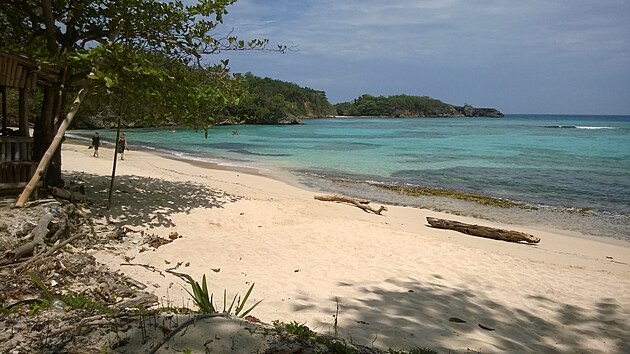 Ndhern Winnifred Beach - tm jen pro ns.