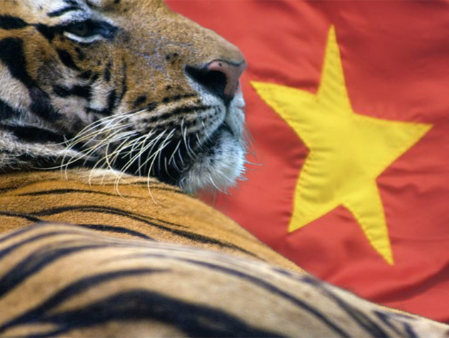 Vietnam pat mezi asijsk tygry.