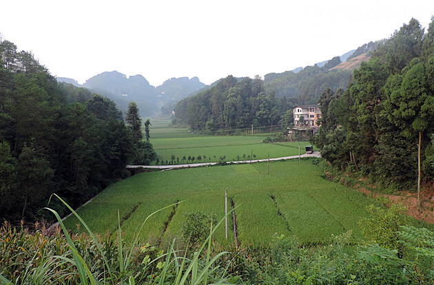 Obvykl krajina kolem Chongqing