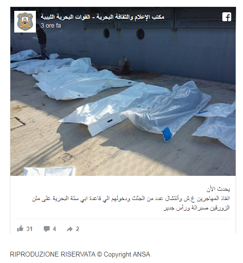 Publikace Libyjskho nmonictva na strnce Fb.