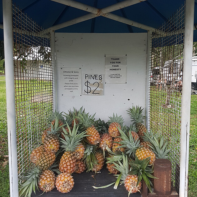 Tohle se snad me dt jen v Austrlii - samoobslun stnek s ananasy u oputn silnice.