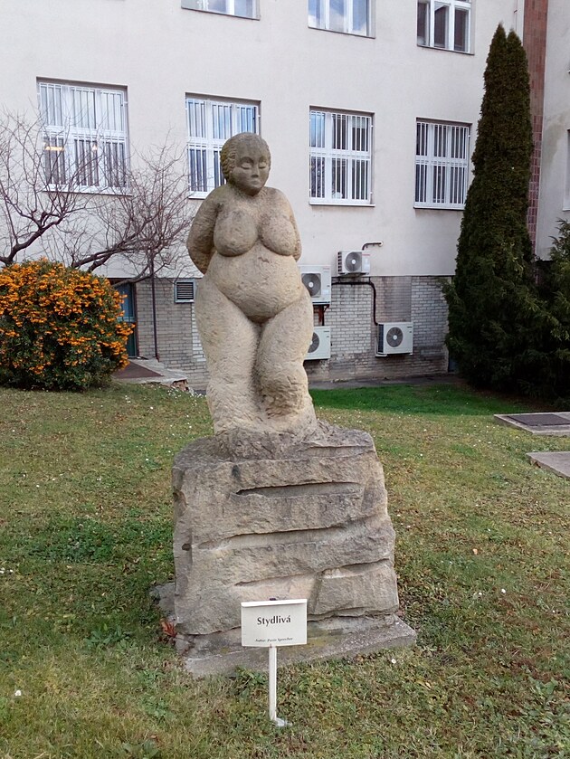 ...a stydliv� macatka z Vinohradsk� nemocnice v Praze