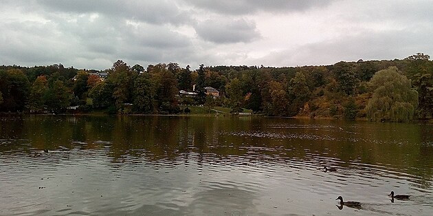 Z. Obloha zedla, zato park se zan podzimn vybarvovat.